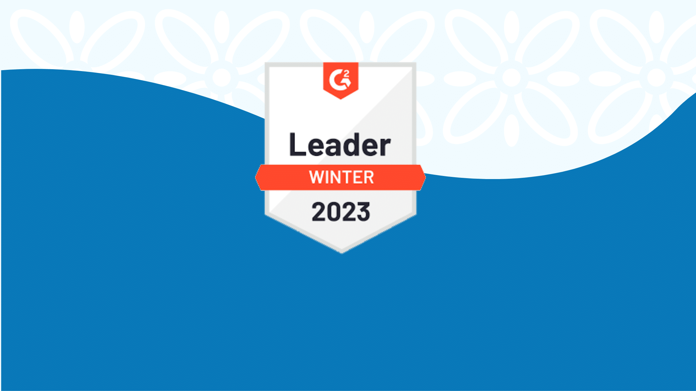 momentum leader banner